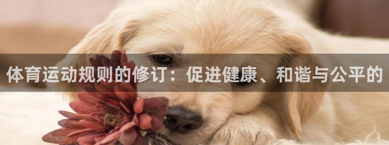 体育运动规则的修订：促进健康、和谐与公平的