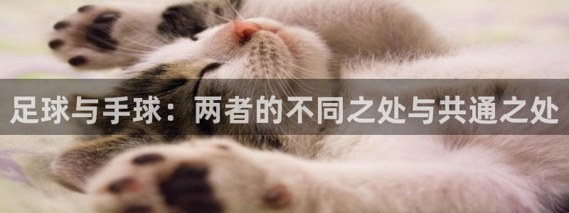 足球与手球：两者的不同之处与共通之处
