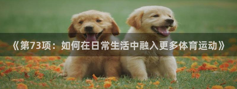 《第73项：如何在日常生活中融入更多体育运动》