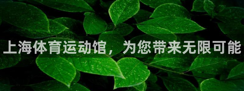 上海体育运动馆，为您带来无限可能