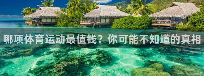 哪项体育运动最值钱？你可能不知道的真相
