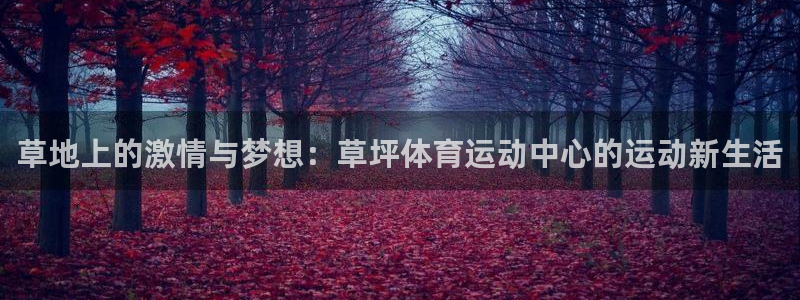 草地上的激情与梦想：草坪体育运动中心的运动新生活