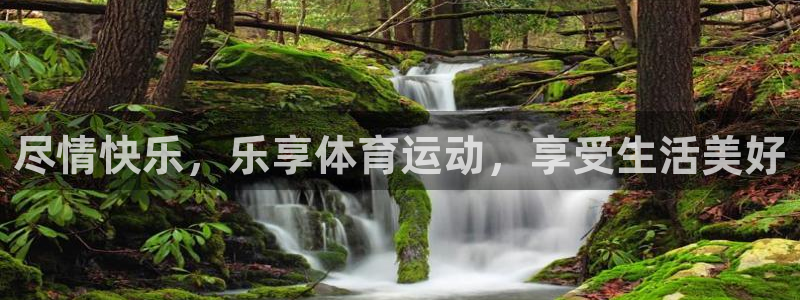 尽情快乐，乐享体育运动，享受生活美好